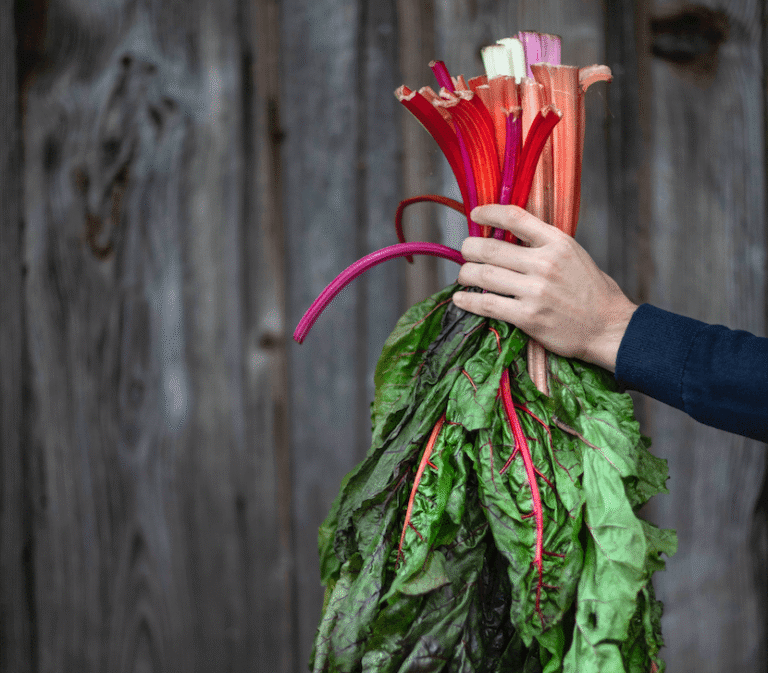 Може ли “Фибремаксинг” да бъде здравословен тренд, който да стои за следване? Fiber chenot cookbook